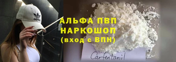 ПСИЛОЦИБИНОВЫЕ ГРИБЫ Снежногорск