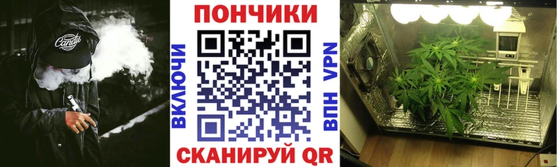 mega ссылка  Сосногорск  Бошки марихуана Amnesia  дарнет шоп 